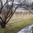 운심지구 화장실 이미지