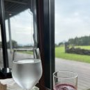 성산교회 앞 버스정류장 | [제주/성산] 핀크스 포도호텔 - 디럭스 더블 양실 예약 가격 조식 우동 숙박 후기