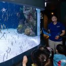 아쿠아빌딩 이미지