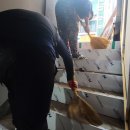 악쓰는하마 이미지