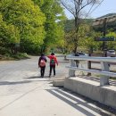 대송면 운제산등산로 이미지