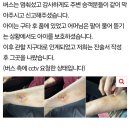 부산 버스 아동 폭행 노인 폭행 사건 이미지