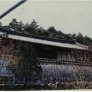 자양면-삼귀리-12
