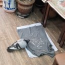 [청로 이용웅 칼럼] 베트남, 추억의 ‘비둘기집’과 비둘기에 대한 斷想 이미지