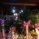 미사리라이브호프 이미지