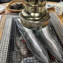 해양곰장어 이미지