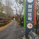 담양 죽녹원 화순 허브뜨락 치유농업 견학 후기