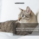 지산동물병원 이미지