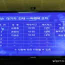 코리아체육관 이미지