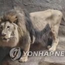 사방공인중개사사무소 이미지