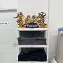 센티프짐 이미지