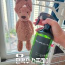 심신균정원 | 편백수 효능 편심 피톤치드 편백수 스프레이 탈취제 리필 후기