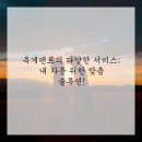 옥계덴트
