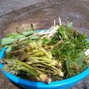 하산 농장 이미지