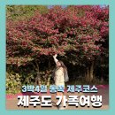 대복카 | 연말 여행 제주 해돋이/3박4일 동쪽 제주 여행일정 및 여행경비