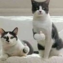 스튜디오이제