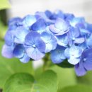 장고행정사 | 일본에서 에어비앤비 창업하기