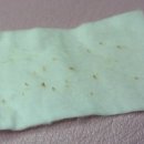 리리테라피 이미지