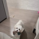 놀자놀자 이미지