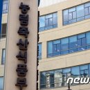 (주)펫톡 뉴스1