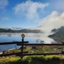 강천산 나비잠 이미지