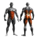 엑서사이즈 이미지