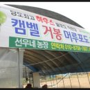 서누네농장 이미지