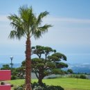 (주)볼카노골프앤리조트 이미지