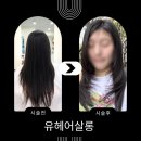 다다헤어살롱 | 이수역 미용실 유헤어살롱: 숱 부자 탈출! 여름 대비 가벼운 레이어드컷 대만족 후기