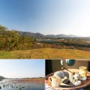 영천솔롱고글램핑 이미지