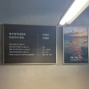장수마을 | 장수장어대전 방배본점 서래마을 장어 맛집 장어솥밥 후기