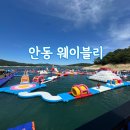 관광단지로(성곡동) | [경북/안동] 25년 오픈한 신상 빠지 웨이블리 내 돈내고 다녀온 따끈한 후기