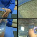 하나로모텔 이미지