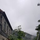더마루