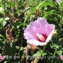 꽃과 노닐다 이미지