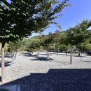 하늘땅별땅 캠핑장 이미지