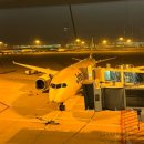 젯스타 시드니행 ✈️ 이코노미 좌석 꿀팁 및 호주 자동 입국심사 정보