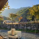 비타민캠핑장 이미지