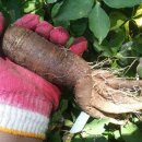 두루농장 이미지