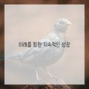 한국전문기술교육원