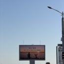 마린투어 | 거북섬 요트투어, 노을 보며 삼겹살까지? 은솔마린 선셋투어 후기🌅🚤