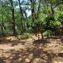 지에스(GS)25 수영팔도 이미지