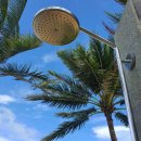 포레스트 당구클럽 이미지