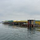 창리낚시레저 | 태안 서산 낚시 | 명성좌대낚시 3월 방문 후기(+조황,준비물) 🎣