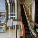 명동에너지 | 후기 | 명동미용실 에너지 헤드스파 추천 '이가자 명동점' 영욱 디자이너