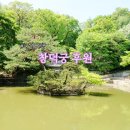 풍경 | 창덕궁 후원 예약 연두색 봄 풍경 후기