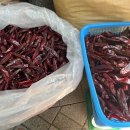 용수골농장 이미지