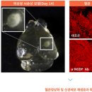 시젠 - 연수구 아트센터대로 131 | 시젠