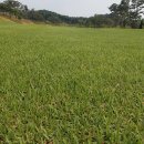 ROUTE 52CC 이미지