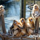 옹기종기 이미지